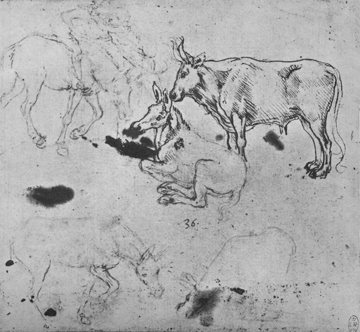 गधों और एक बैल का अध्ययन, c1480 1945 द्वारा लियोनार्डो दा विंची