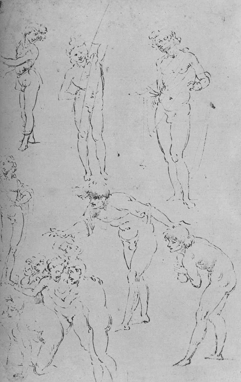 आंकड़ों का अध्ययन और आंकड़ों का एक समूह, c1500 1945 द्वारा लियोनार्डो दा विंची