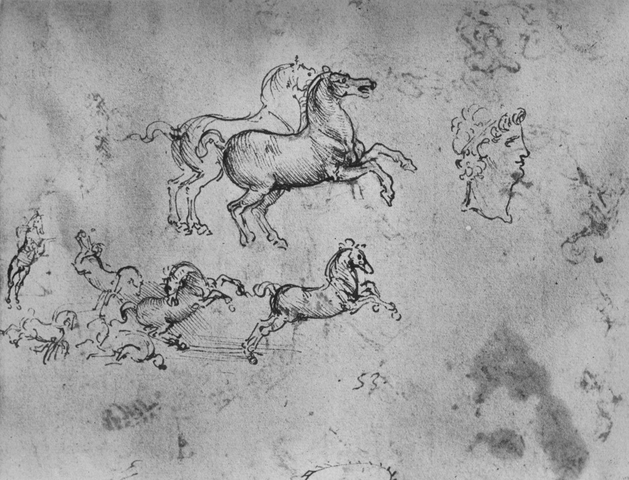 गैलपिंग हॉर्स और एक प्रमुख का अध्ययन, c1480 1945 द्वारा लियोनार्डो दा विंची