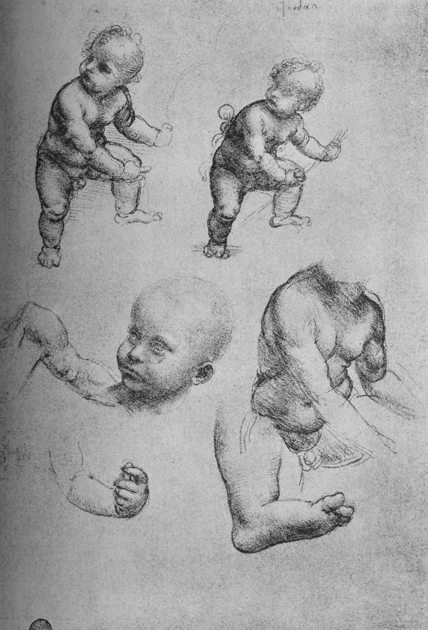 एक बच्चे और एक बच्चे के अंगों का अध्ययन, c1480 1945 द्वारा लियोनार्डो दा विंची