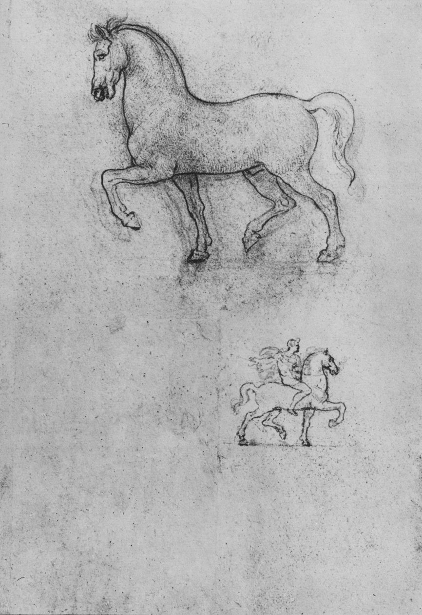 हॉर्स ऑफ़ ए हॉर्स और वन ऑफ़ ए हॉर्स एंड राइडर, c1480 1945 द्वारा लियोनार्डो दा विंची