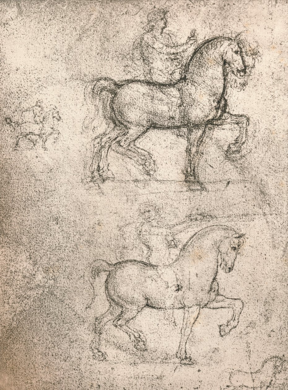 Sforza स्मारक के लिए अध्ययन, c1482-c1499 1883 द्वारा लियोनार्डो दा विंची