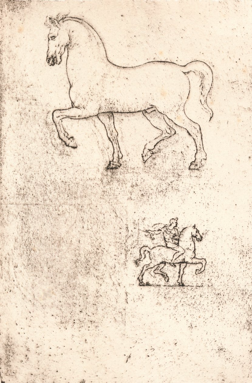 Sforza स्मारक के लिए अध्ययन, c1482-c1499 1883 द्वारा लियोनार्डो दा विंची