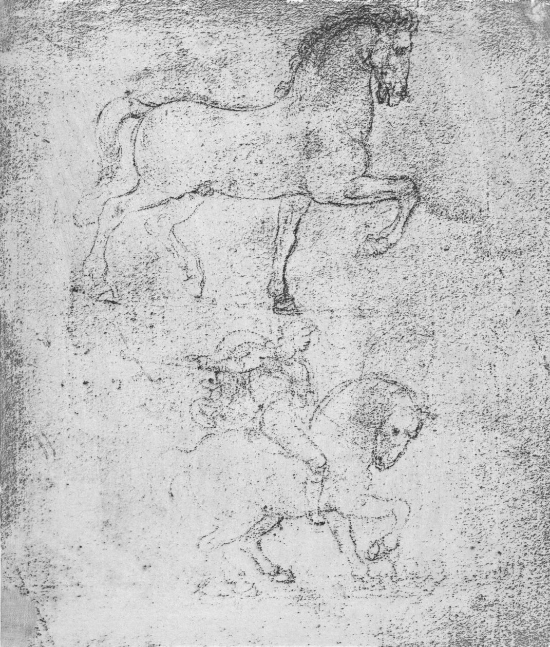 Sforza स्मारक के लिए अध्ययन, c1482-c1499 1883 द्वारा लियोनार्डो दा विंची