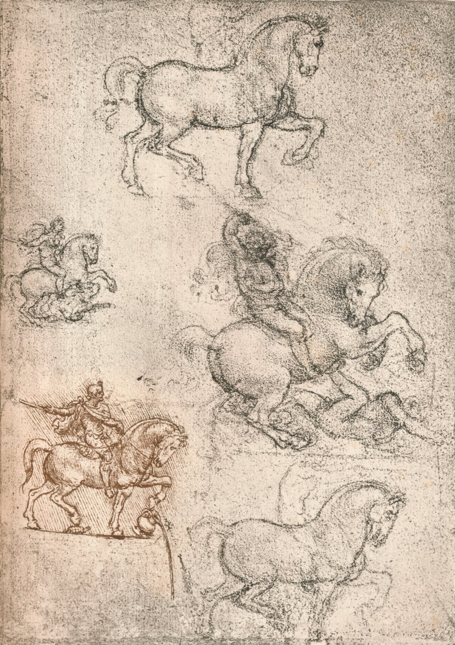 Sforza स्मारक के लिए अध्ययन, c1482-c1499 1883 द्वारा लियोनार्डो दा विंची