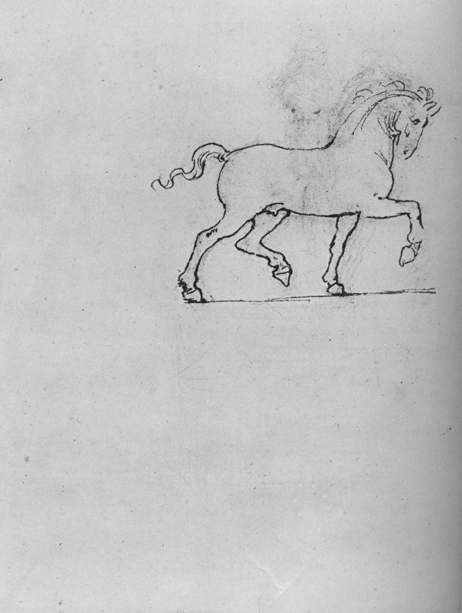 एक घोड़े का अध्ययन, c1480 1945 द्वारा लियोनार्डो दा विंची