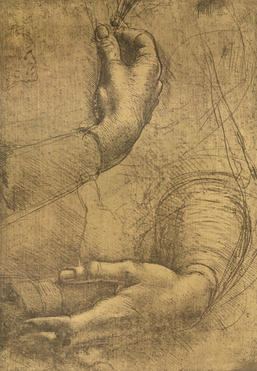 महिला के हाथों का अध्ययन, c1472-c1519 1883 द्वारा लियोनार्डो दा विंची