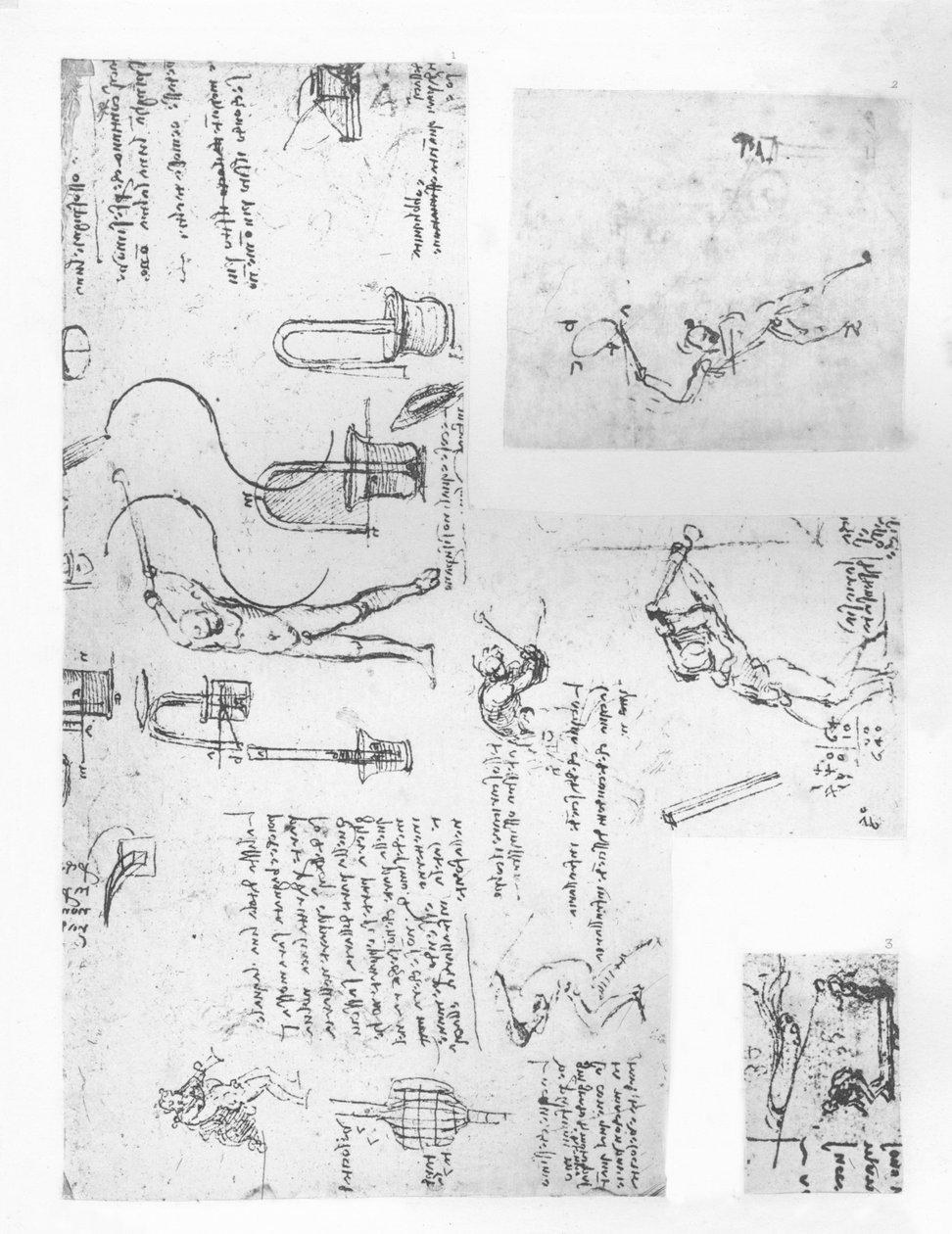 तीन चित्र मानव आकृति के आंदोलनों के सिद्धांत को दर्शाते हैं, c1472-c1519 1883 द्वारा लियोनार्डो दा विंची