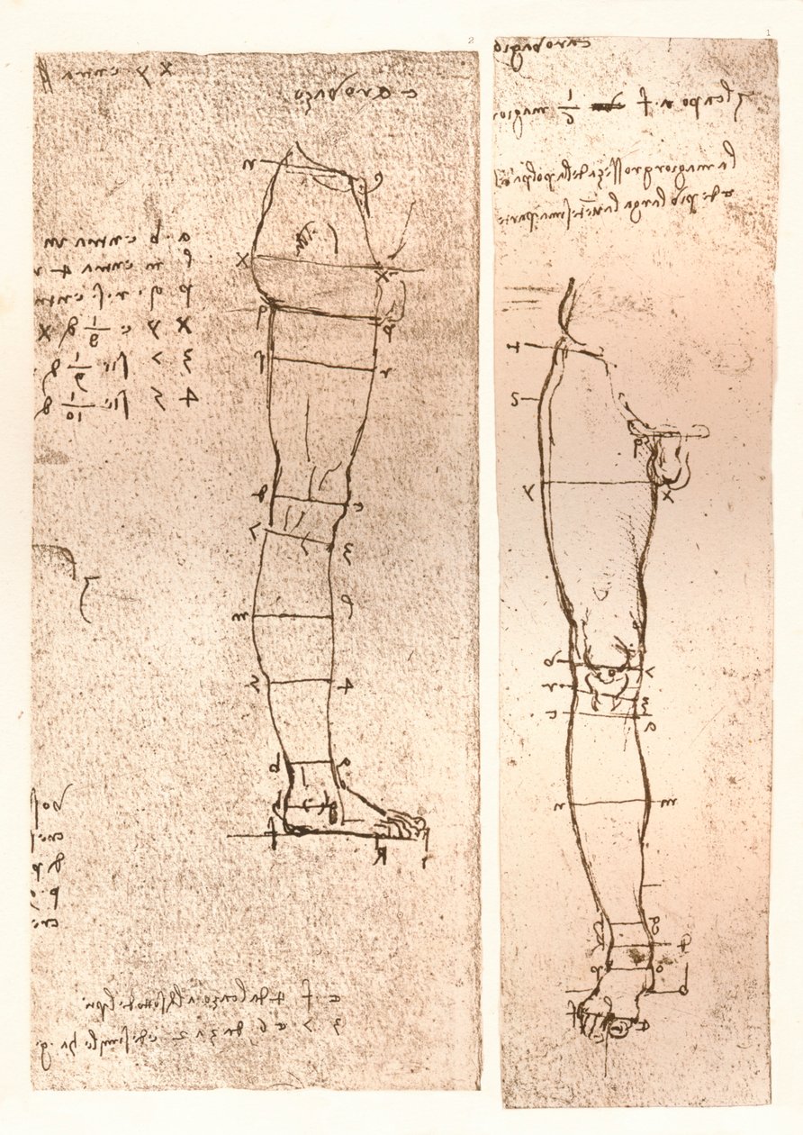 मानव चित्र के अनुपात के सिद्धांत को स्पष्ट करते हुए दो चित्र, c1472-c1519 1883 द्वारा लियोनार्डो दा विंची