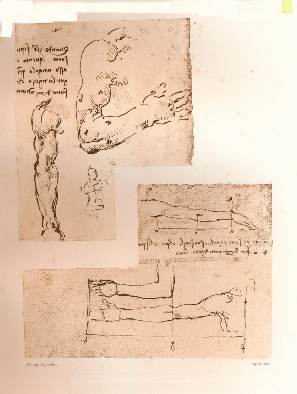 मानव चित्र के अनुपात के सिद्धांत को स्पष्ट करते हुए दो चित्र, c1472-c1519 1883 द्वारा लियोनार्डो दा विंची