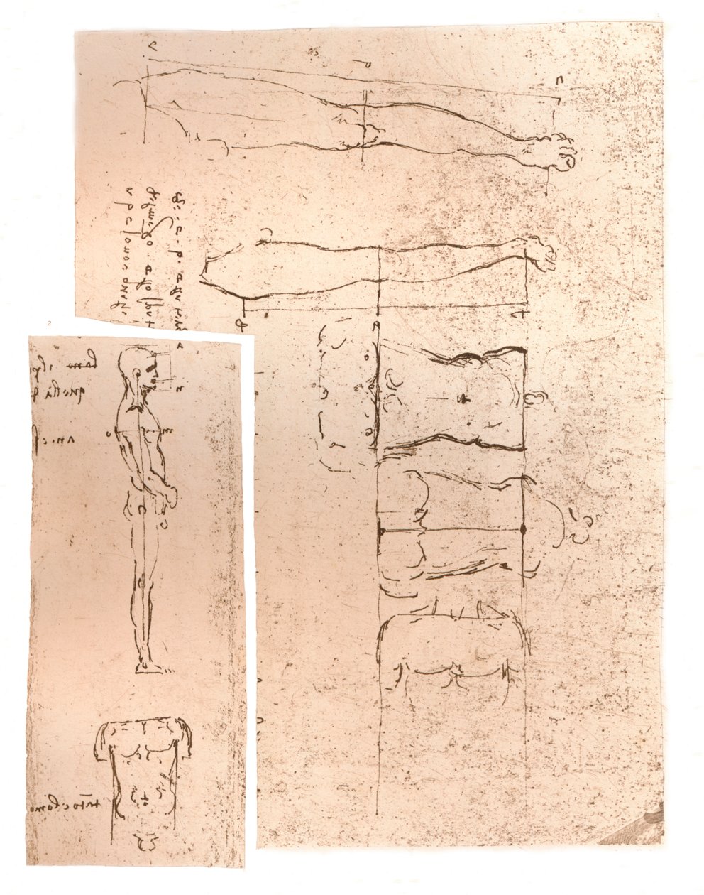 मानव चित्र के अनुपात के सिद्धांत को स्पष्ट करते हुए दो चित्र, c1472-c1519 1883 द्वारा लियोनार्डो दा विंची