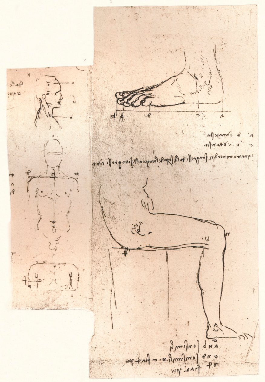 मानव चित्र के अनुपात के सिद्धांत को स्पष्ट करते हुए दो चित्र, c1472-c1519 1883 द्वारा लियोनार्डो दा विंची