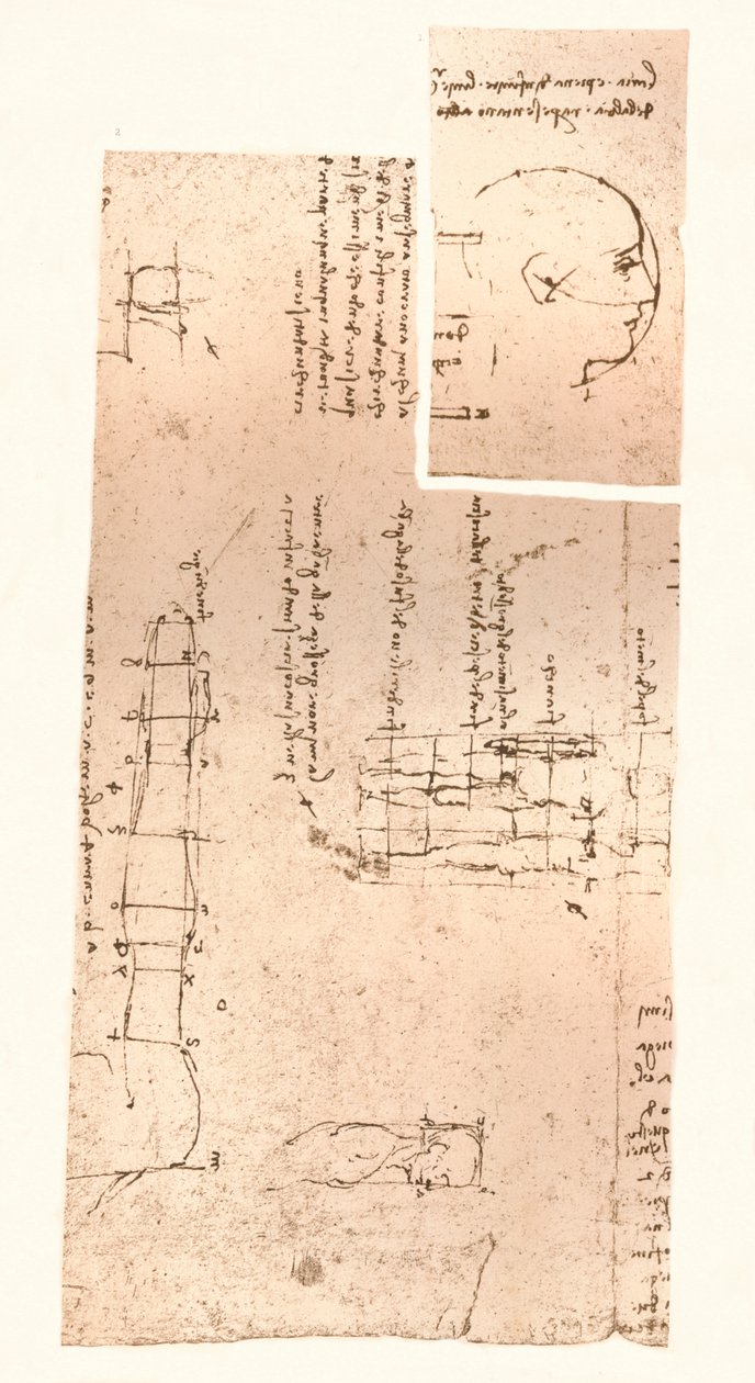 मानव चित्र के अनुपात के सिद्धांत को स्पष्ट करते हुए दो चित्र, c1472-c1519 1883 द्वारा लियोनार्डो दा विंची