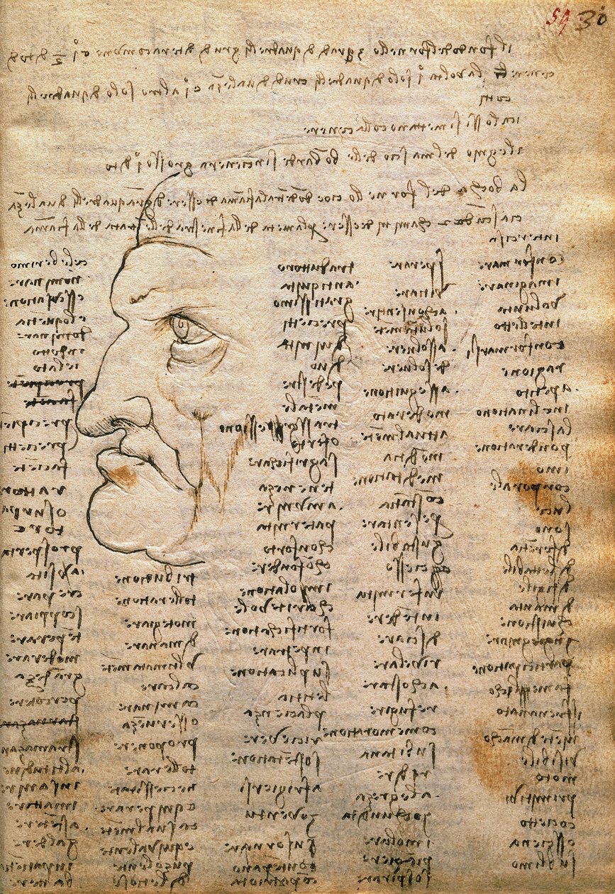  द्वारा लियोनार्डो दा विंची