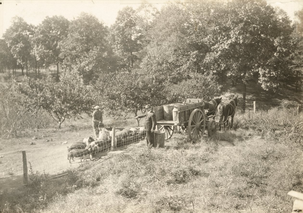 शीर्षकहीन, सीए। 1935. द्वारा लेविस विक्स हाइन