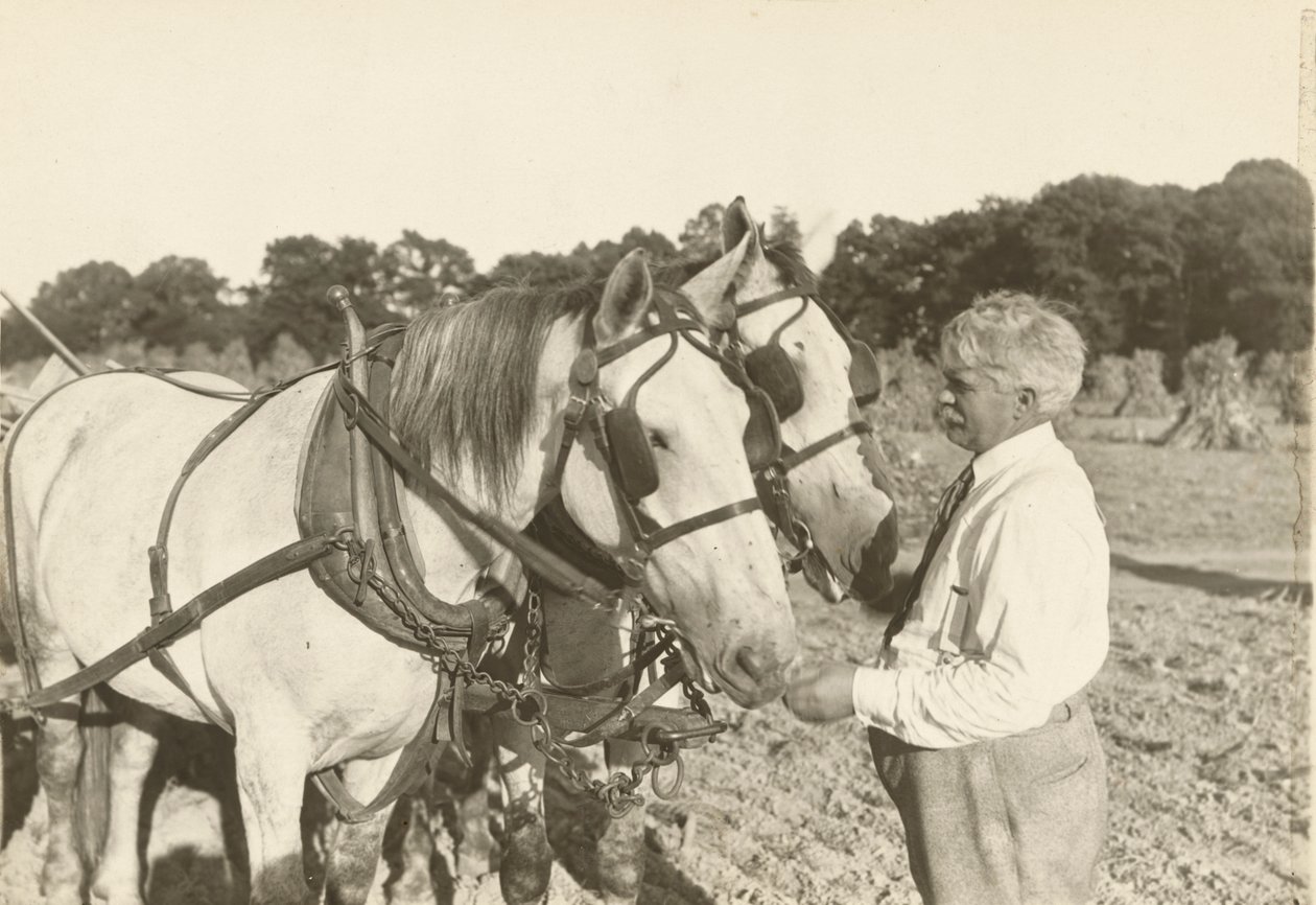 शीर्षकहीन, सीए। 1935. द्वारा लेविस विक्स हाइन