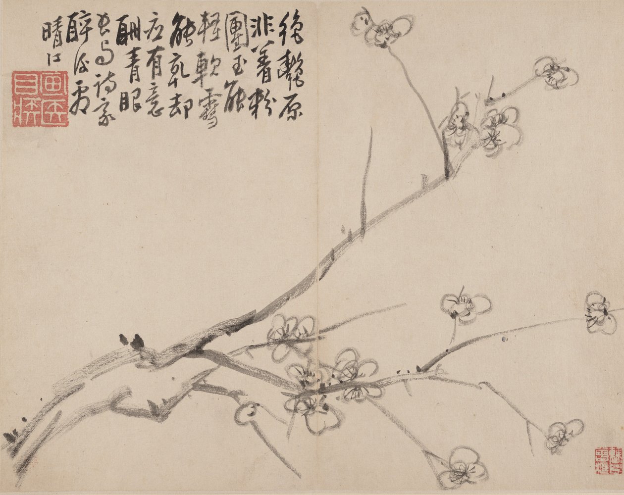 ब्लॉसमिंग प्लम का एल्बम, 1742। द्वारा ली फेंगिंग