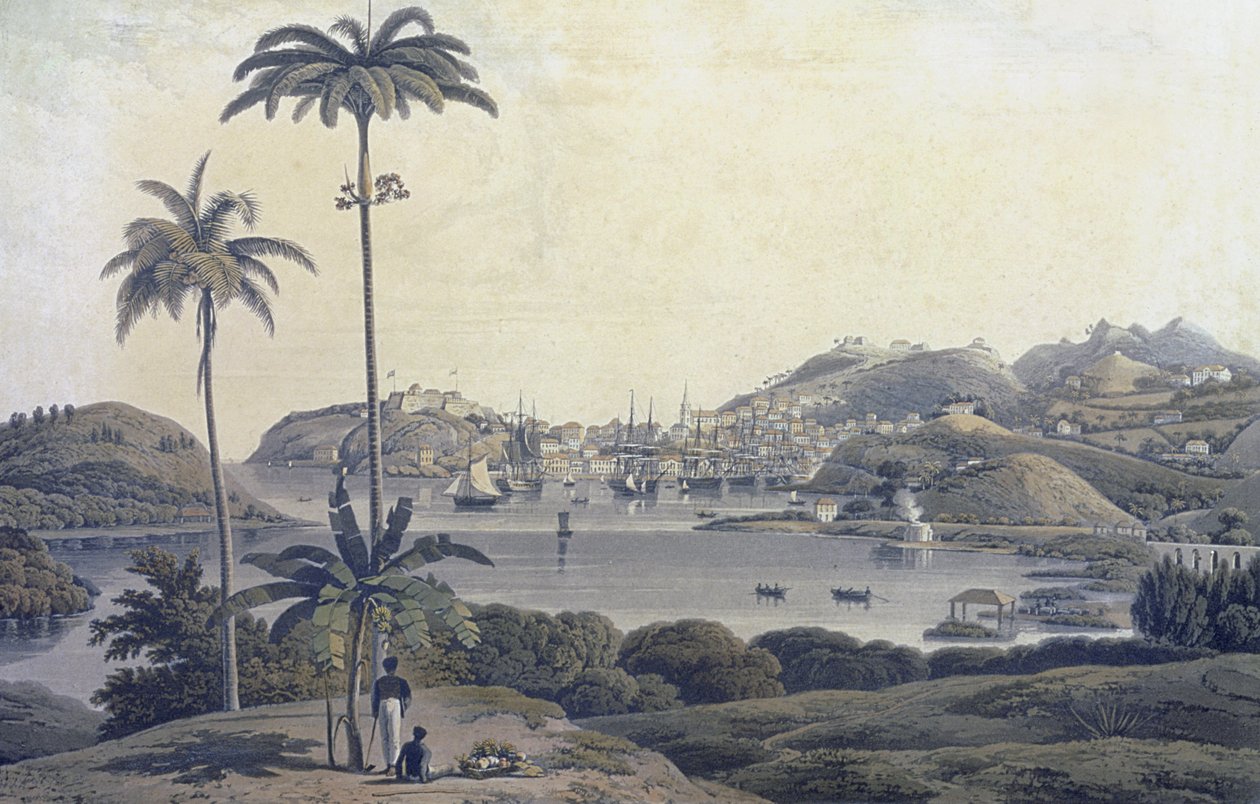विलियम डैनियल (1769-1837) द्वारा उत्कीर्ण बेलमॉन्ट एस्टेट से लिया गया ग्रेनेडा द्वीप पर सेंट जॉर्ज के शहर का एक दृश्य, c.1810 द्वारा लेफ्टिनेंट कर्नल जे। विल्सन