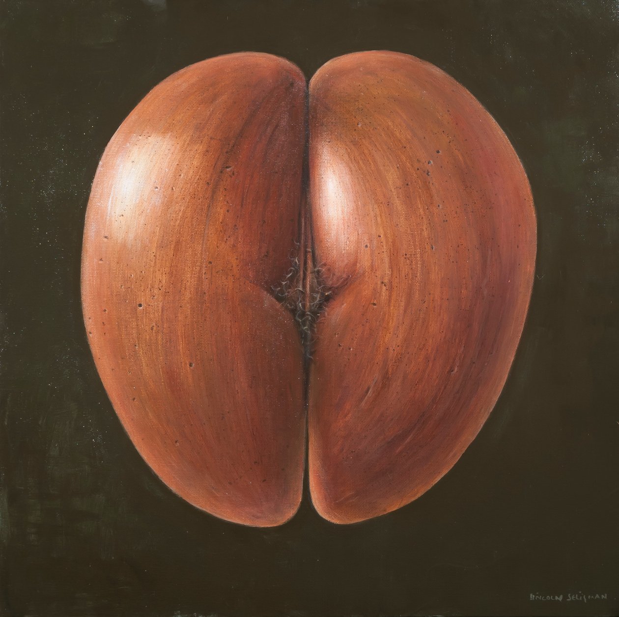 कोको डी मेर, मालदीव, 2012 (कैनवास पर एक्रिलिक) द्वारा लिंकन सेलिगमैन