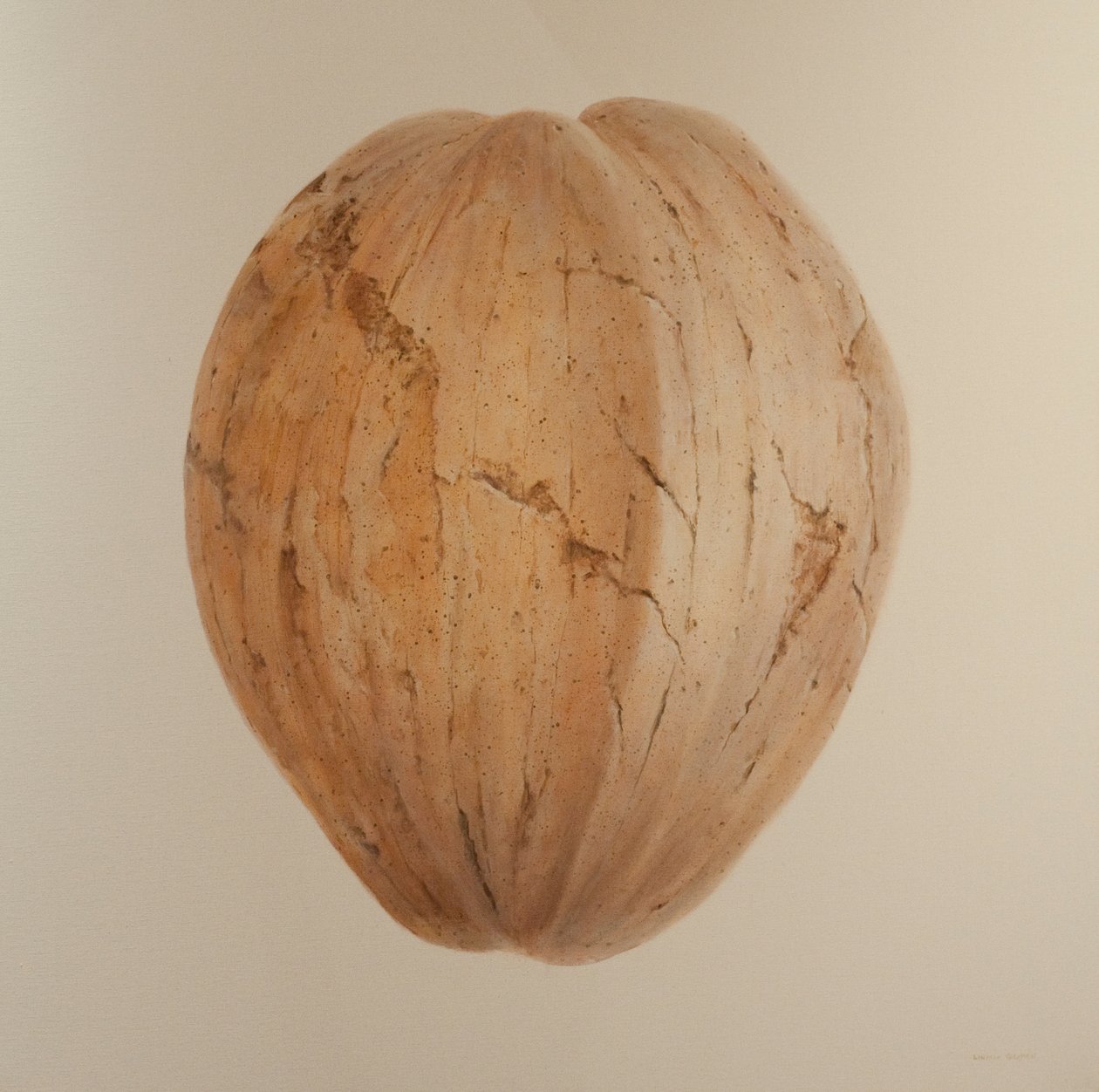 नारियल, श्रीलंका, 2010 (कैनवास पर एक्रिलिक) द्वारा लिंकन सेलिगमैन