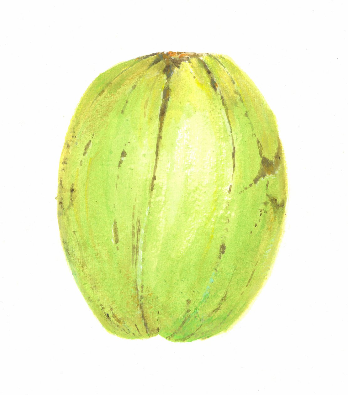 नारियल, श्रीलंका, 2015 द्वारा लिंकन सेलिगमैन
