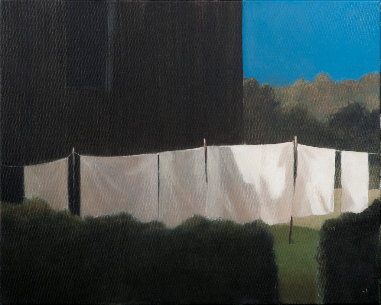नोर्मा की धुलाई, 2012 (कैनवास पर एक्रिलिक) द्वारा लिंकन सेलिगमैन