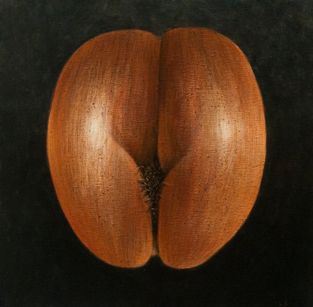 कोको डी मेर, 2010 (कैनवास पर एक्रिलिक) द्वारा लिंकन सेलिगमैन
