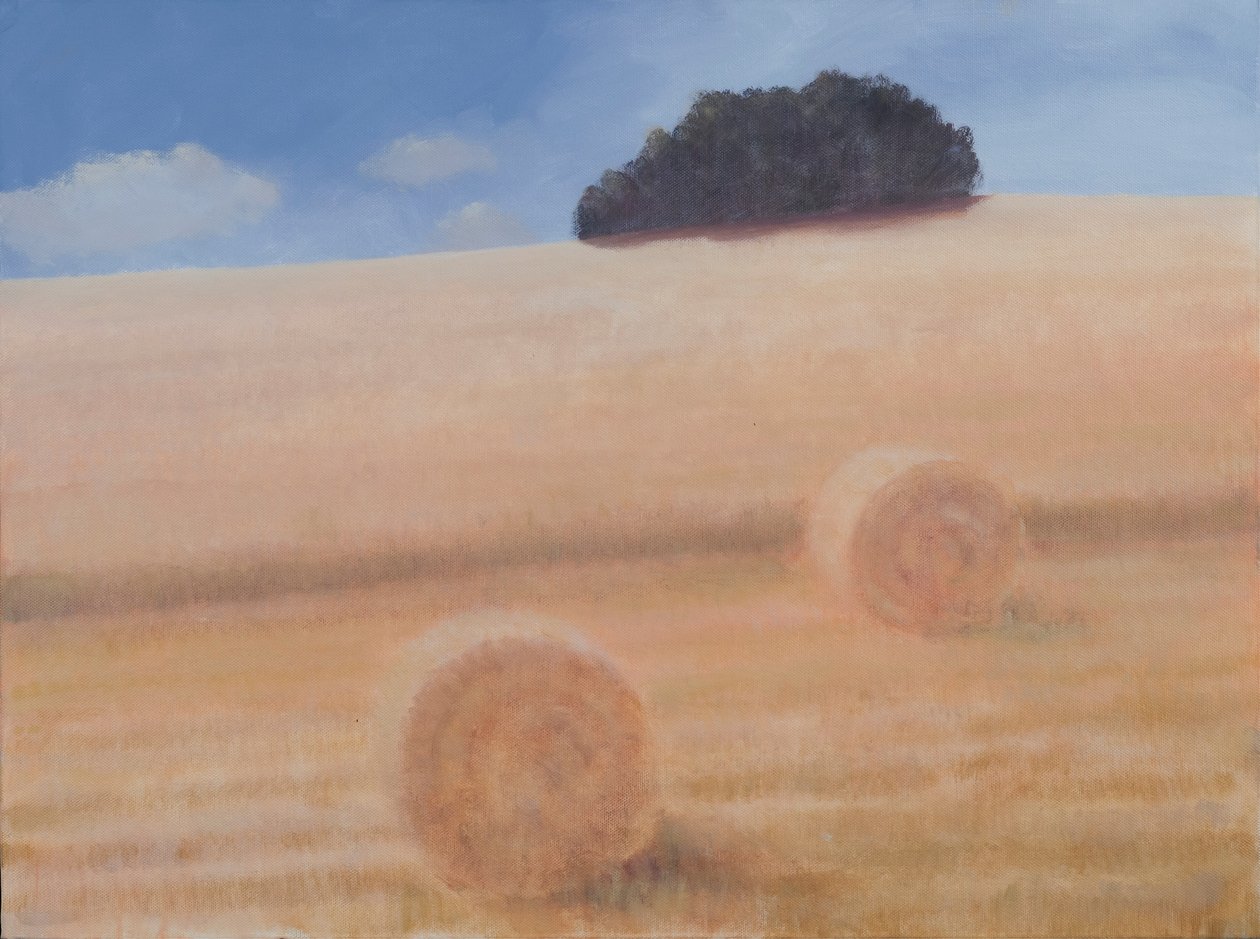 दो हेय बाल, 2012 (कैनवास पर एक्रिलिक) द्वारा लिंकन सेलिगमैन