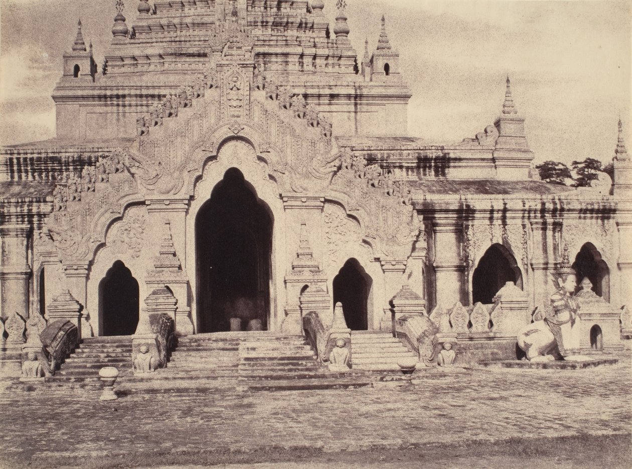  द्वारा लिनिअस ट्राइप