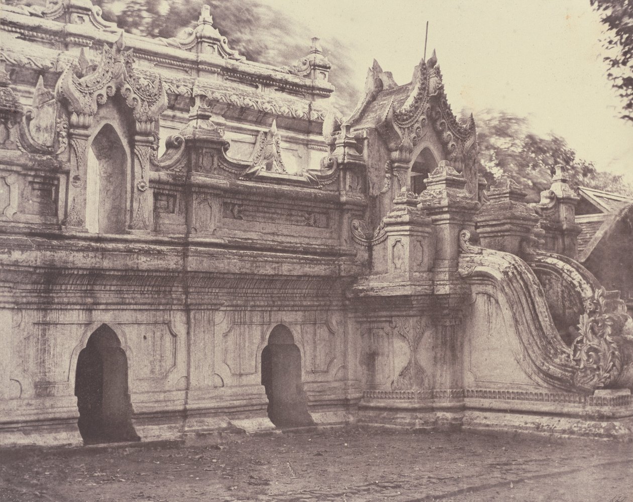 अमेरापुरा: टौंग-ले-लू-टी क्यूंग द्वारा लिनिअस ट्राइप