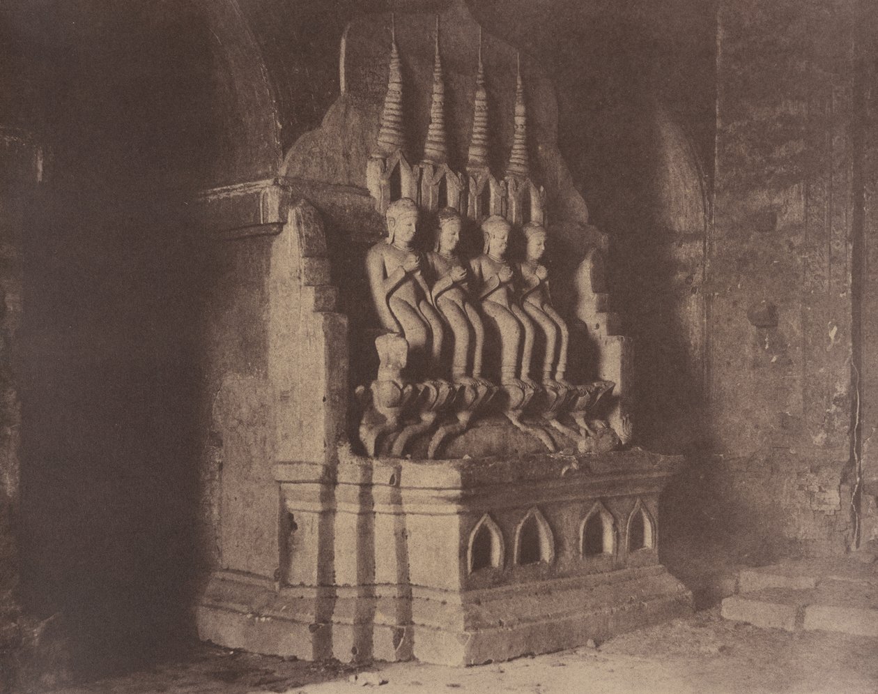  द्वारा लिनिअस ट्राइप