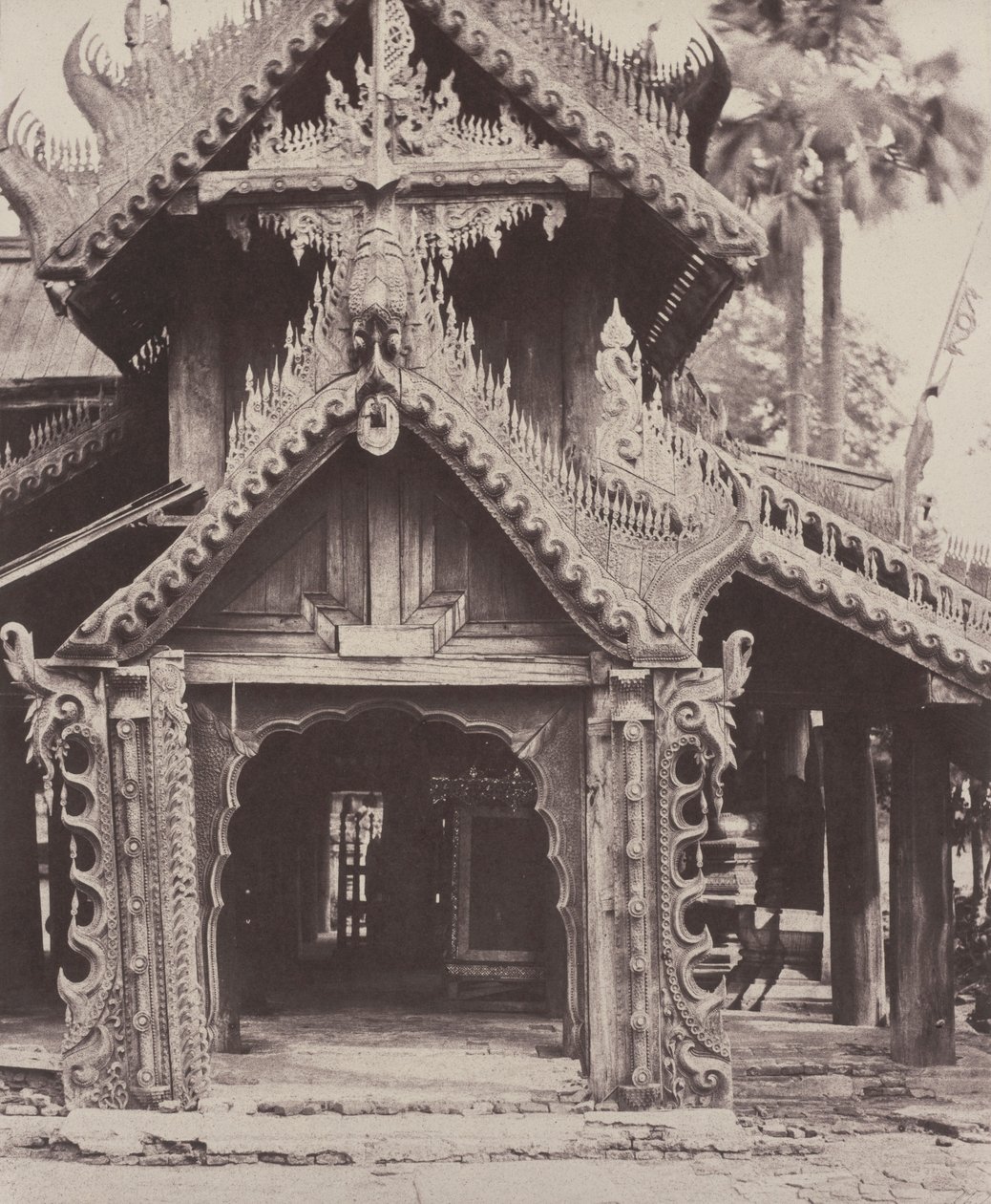  द्वारा लिनिअस ट्राइप
