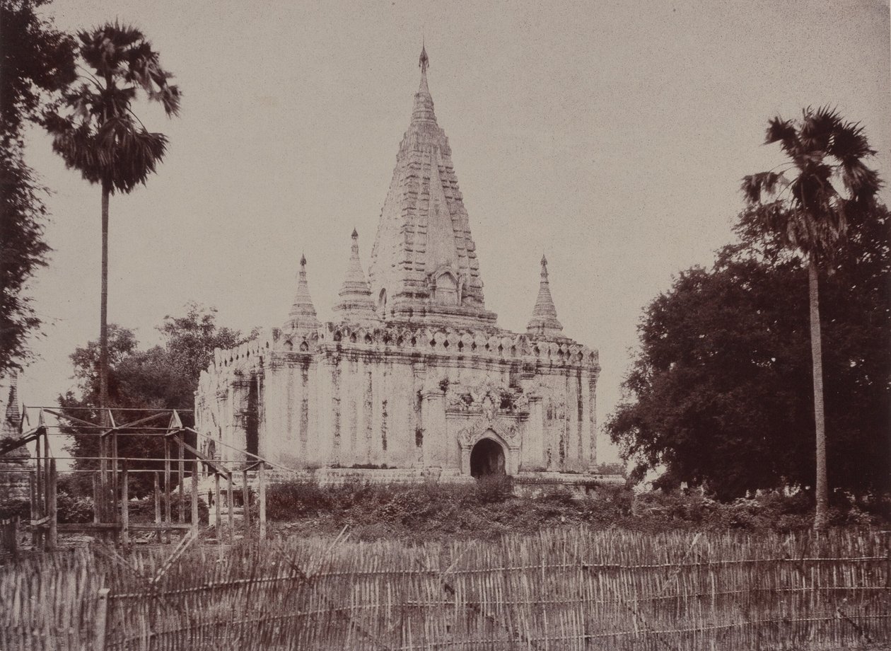 थायेट मायो: छावनी के दक्षिण में शिवालय द्वारा लिनिअस ट्राइप