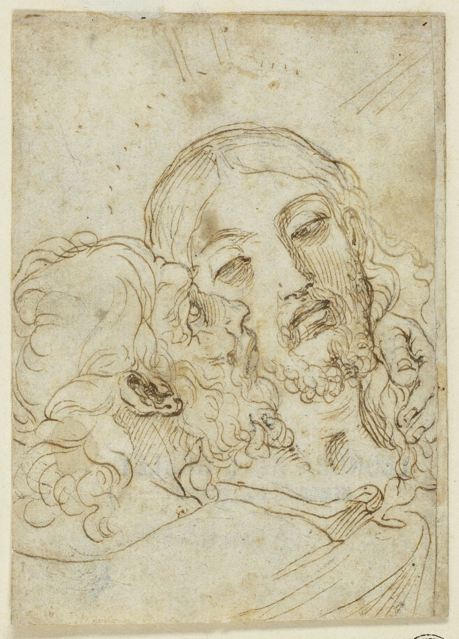  द्वारा Lodovico Carracci