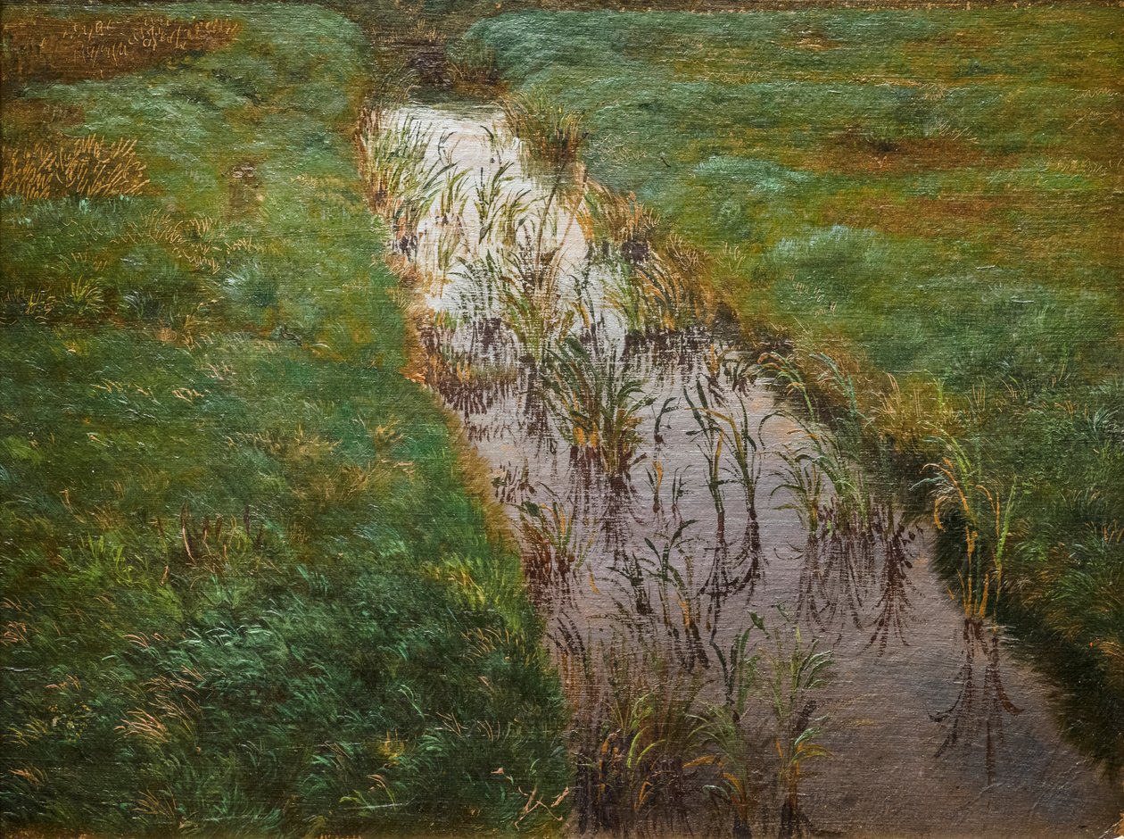  द्वारा लोरेंस फ्रॉलीच