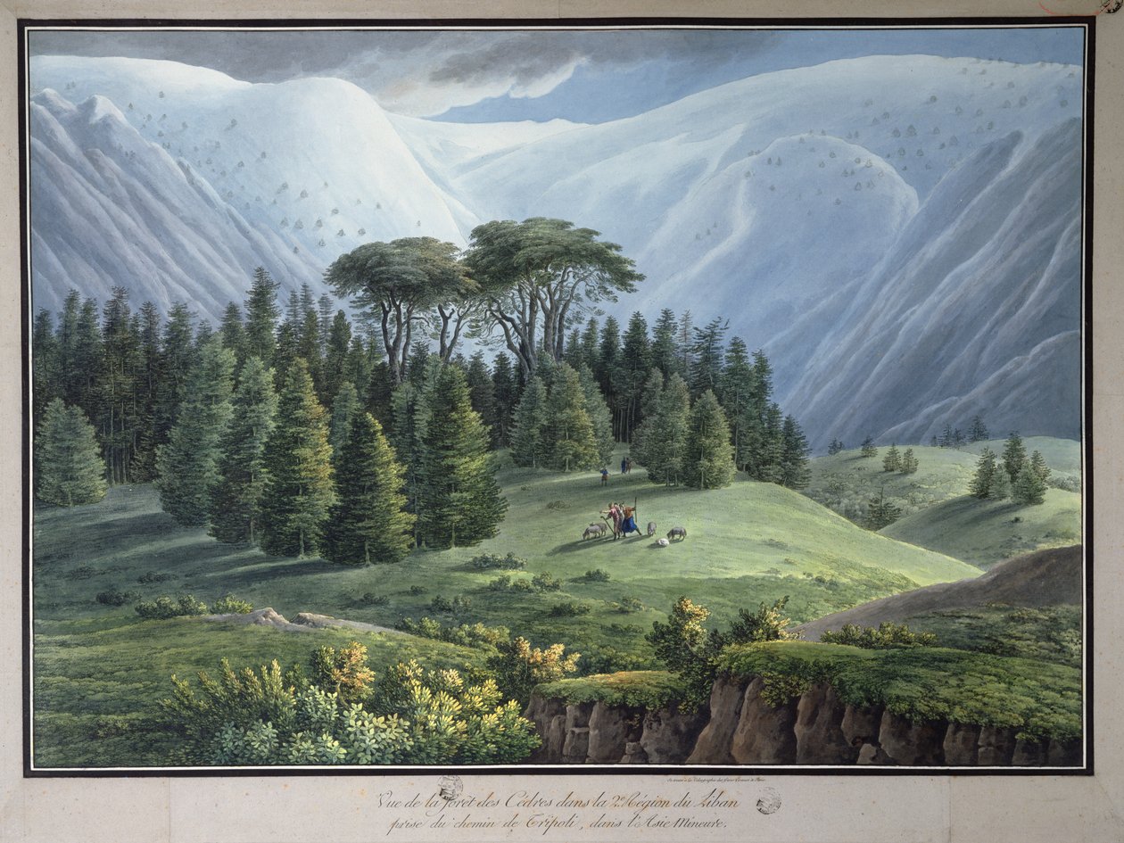 त्रिपोली रोड से देखे गए लेबनान के देवदार वनों का दृश्य, c.1800 (कागज पर स्याही और wc) द्वारा लुई फ़्राँस्वा कसासी