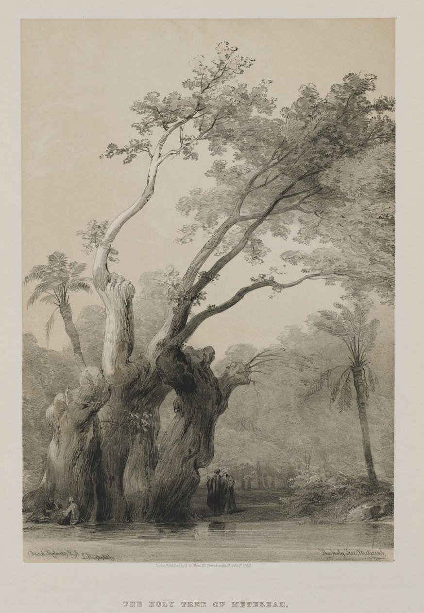 मिस्र और नूबिया, वॉल्यूम III: द होली ट्री ऑफ मीटरहै, 1849। द्वारा लुई हागे