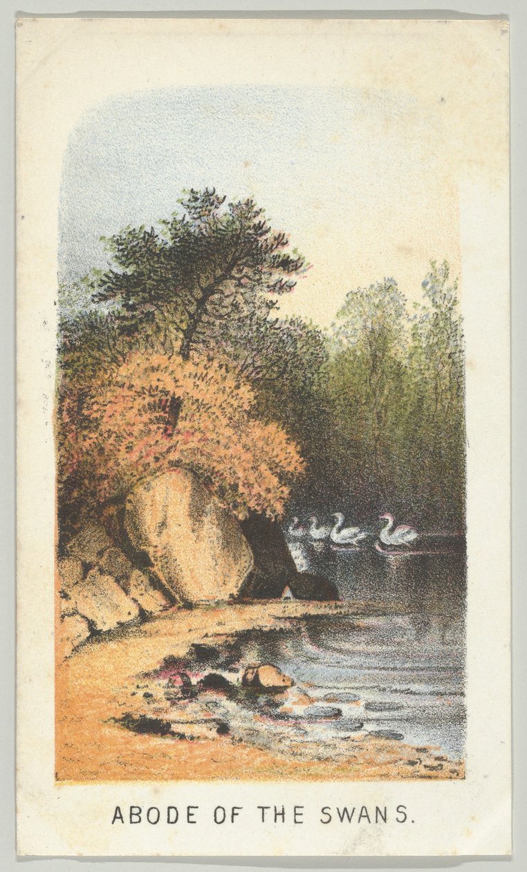 हंसों का निवास, श्रृंखला से, सेंट्रल पार्क में दृश्य, न्यूयॉर्क, भाग 2, 1864। द्वारा लुइस प्रांग