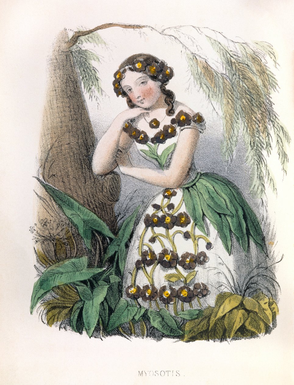  द्वारा लुई साइमन (1810 1870) लासाल