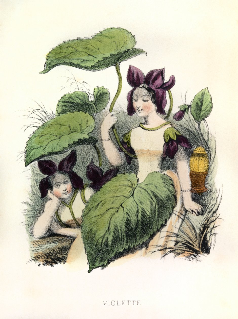  द्वारा लुई साइमन (1810 1870) लासाल