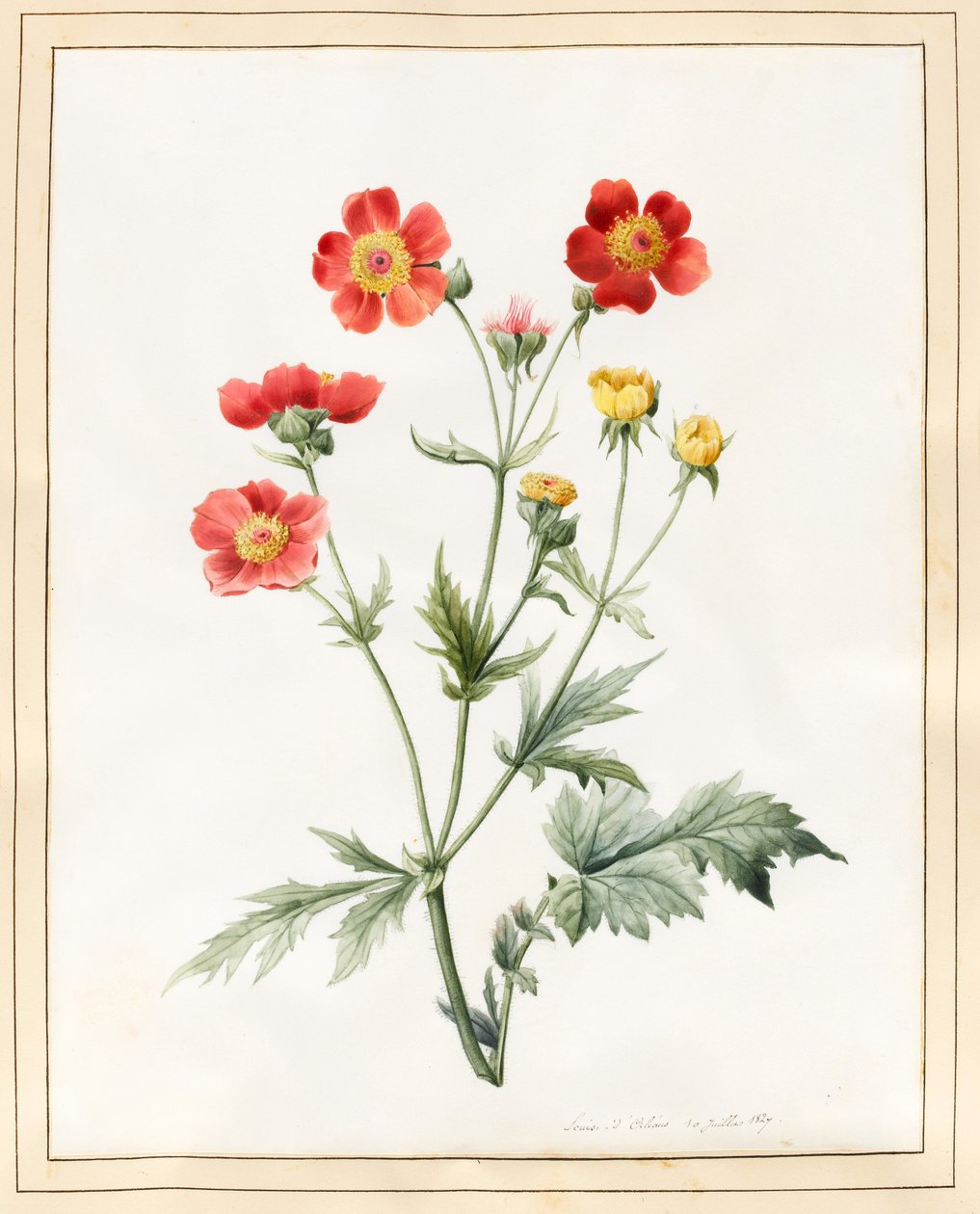 कम्पोजिट, 1827 (वेल्लम पर कुछ बॉडीकोल के साथ wc) द्वारा लुईस डॉकरेन्स