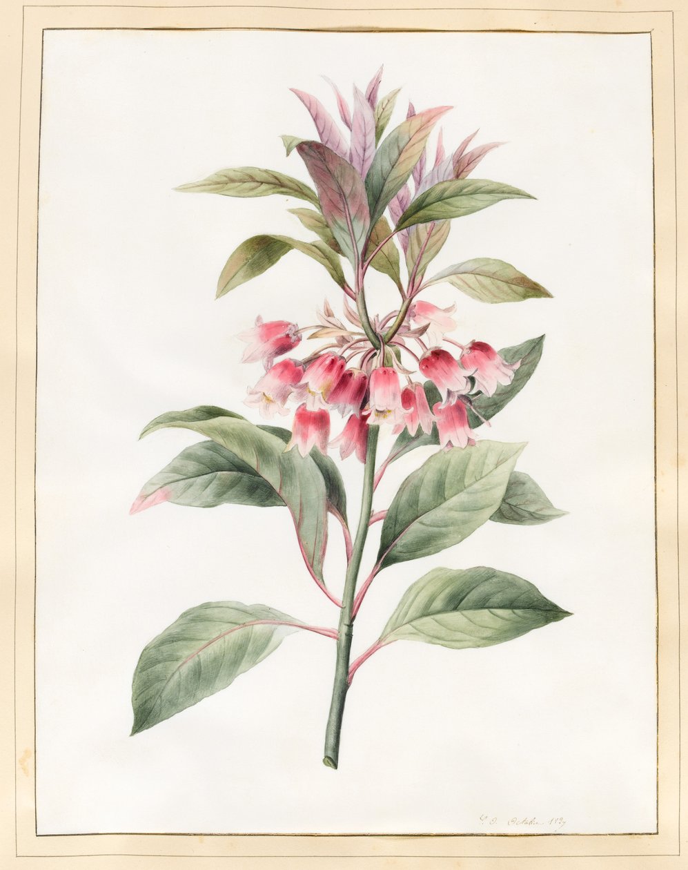 1827 (वेल्लम पर wc) द्वारा लुईस डॉकरेन्स