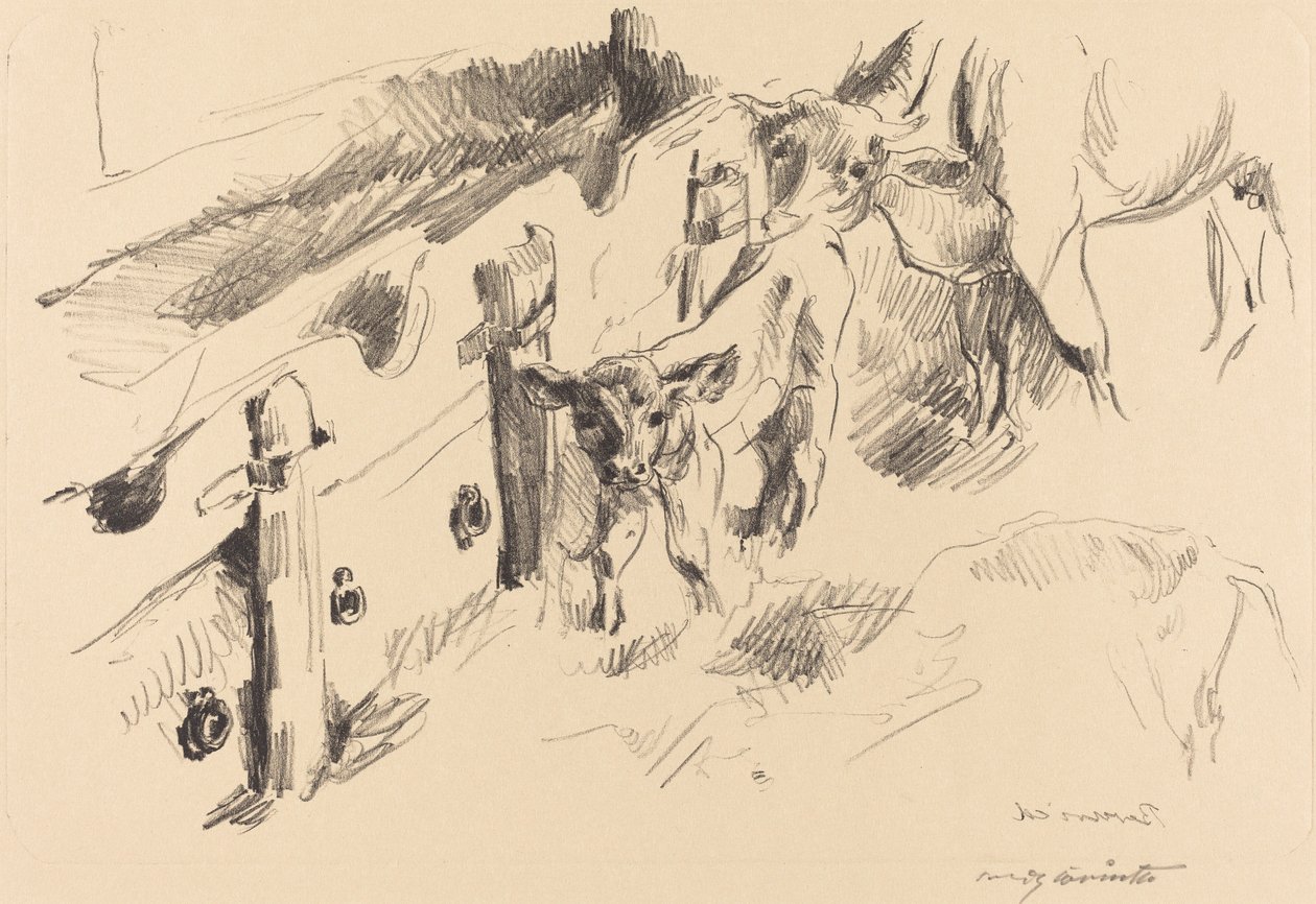 बछड़ों का बछड़ा, 1912। द्वारा लोविस कोरिंथ
