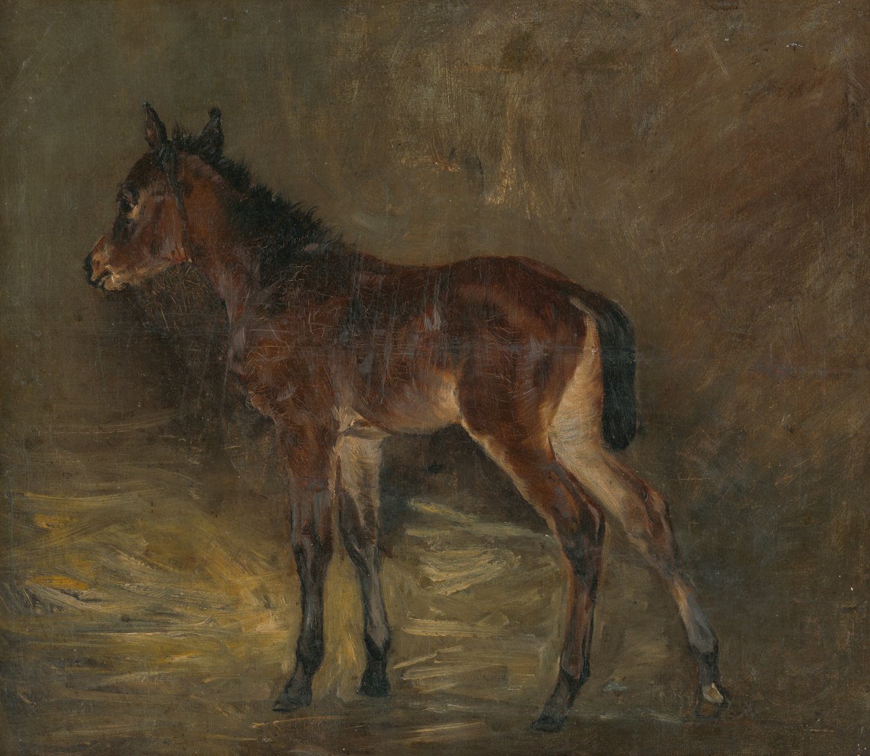 foals द्वारा लास्ज़लो मेद्यांसज़स्की