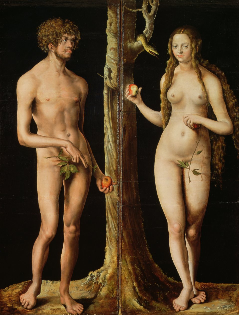 आदम और हव्वा, c.1508-10 (चूने पर तेल और तड़का) (159264 भी देखें) द्वारा लुकास द एल्डर क्रैनाच