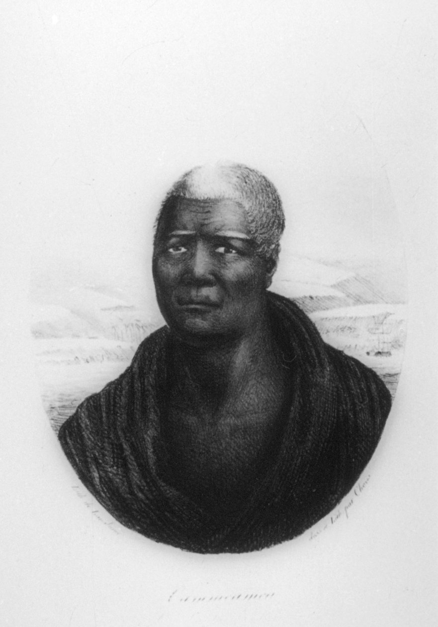कमेहमे I, हवाई, 1816 द्वारा लुडविग चोरिस