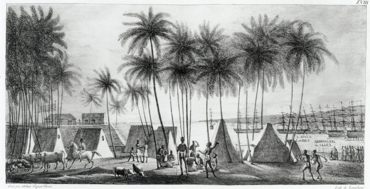 जी लैंग्ल्यूम (fl.1822-40) 1822 द्वारा उत्कीर्ण &39;दुनिया भर की यात्रा&39; से सैंडविच द्वीप में हनौरौर का बंदरगाह द्वारा लुडविग चोरिस