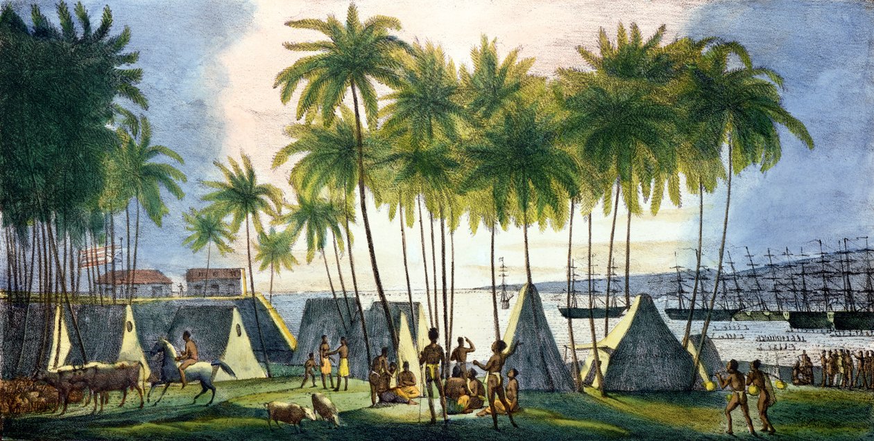 जी लैंग्ल्यूम (fl.1822-40) 1822 द्वारा उत्कीर्ण &39;दुनिया भर की यात्रा&39; से सैंडविच द्वीप में हनौरौर का बंदरगाह द्वारा लुडविग चोरिस