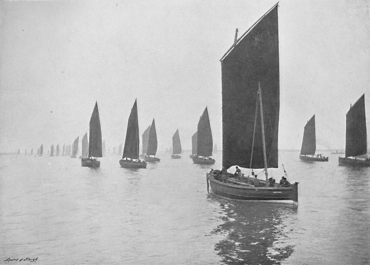 Tyne से हेरिंग नौकाएं, c1896 द्वारा एम। चाची