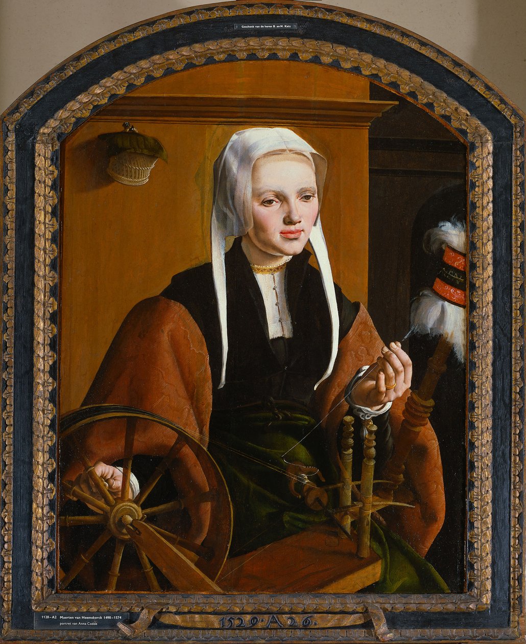 1529 में एक युवा महिला का चित्रण द्वारा Maarten van Heemskerck